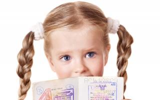 Checking the readiness of the international passport of an adult and a child
