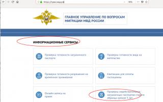 Foreign passport of a citizen of the Russian Federation: how to check its validity
