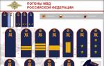 Russian police shoulder straps of a new sample - photo meaning