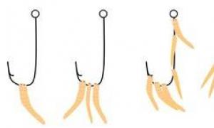 We put bait of animal origin on the hook Installation of silicone bait on a double hook