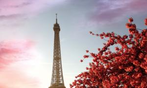 Paris city of lovers (10 photos) Why Paris is the city of lovers